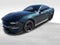 2019 Ford Mustang Bullitt