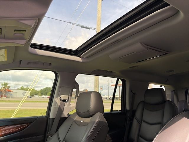 2019 Cadillac Escalade Luxury